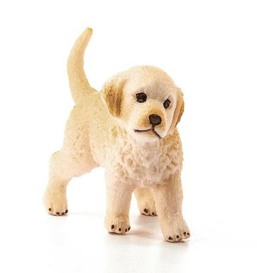 Schelich Golden Retriever Puppy | * New