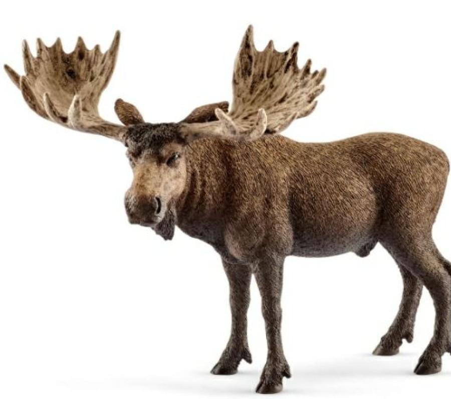 Schleich Moose Bull | * Best