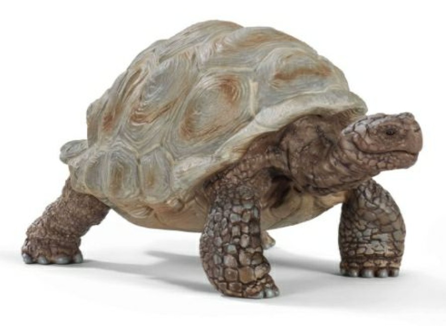 Schleich Giant Tortoise | * Wholesale