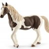 Schleich Pinto Mare | * Online